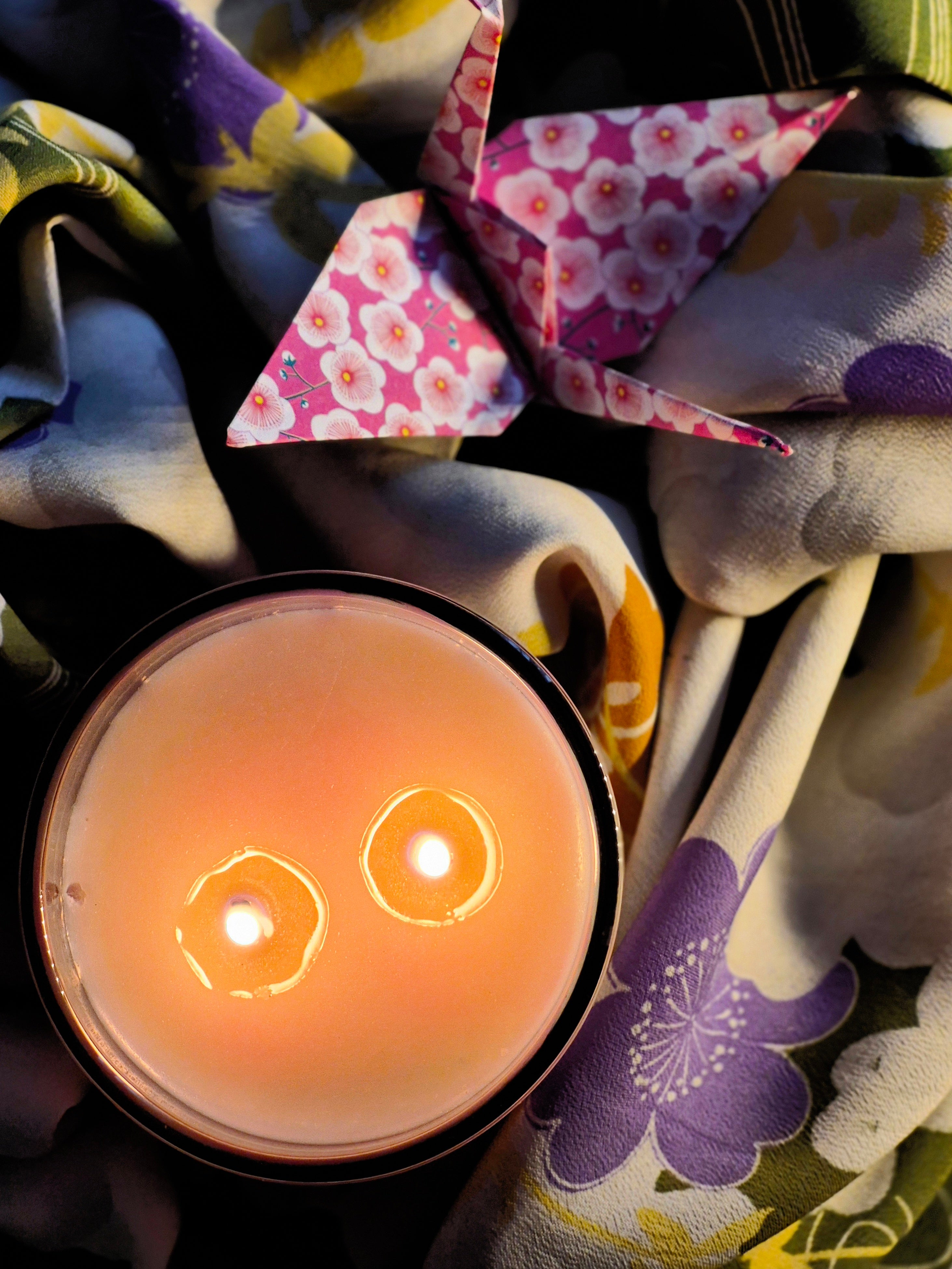 Hanami (flower viewing)