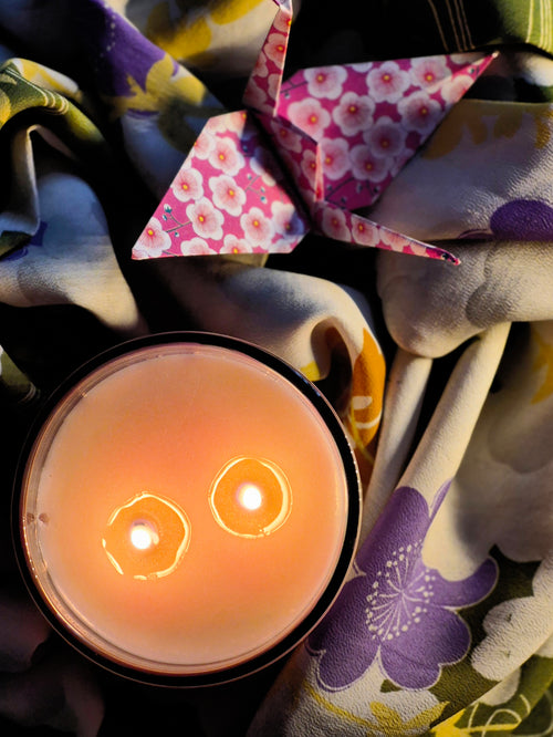 Hanami (flower viewing)